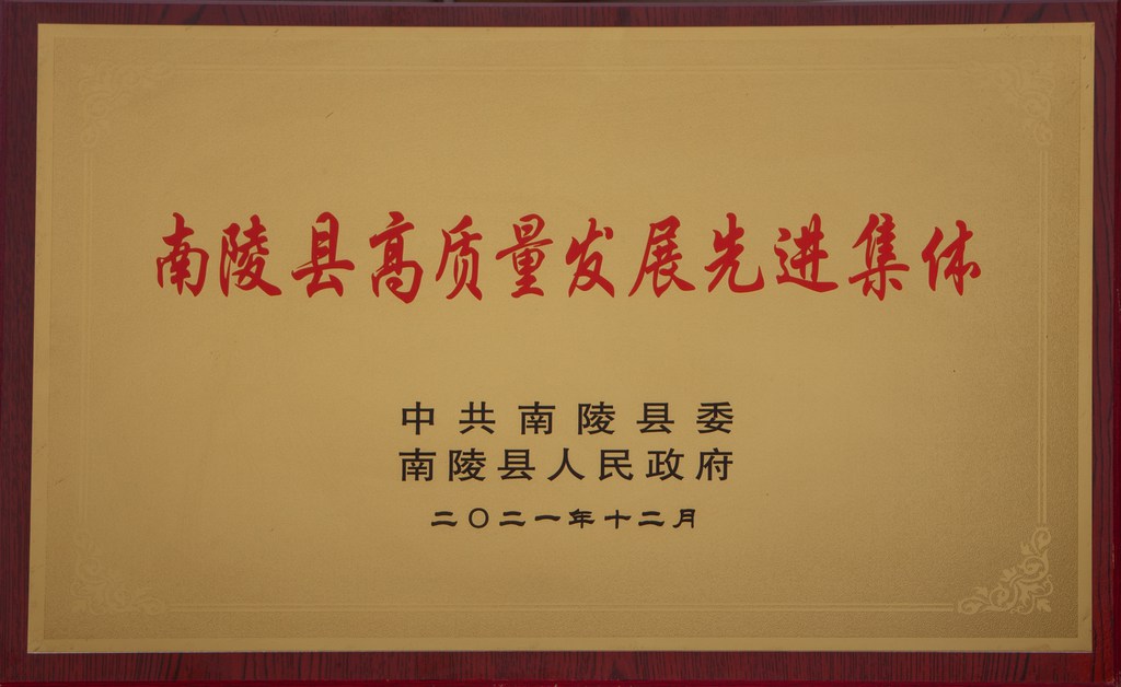 高質(zhì)量發(fā)展先進集體